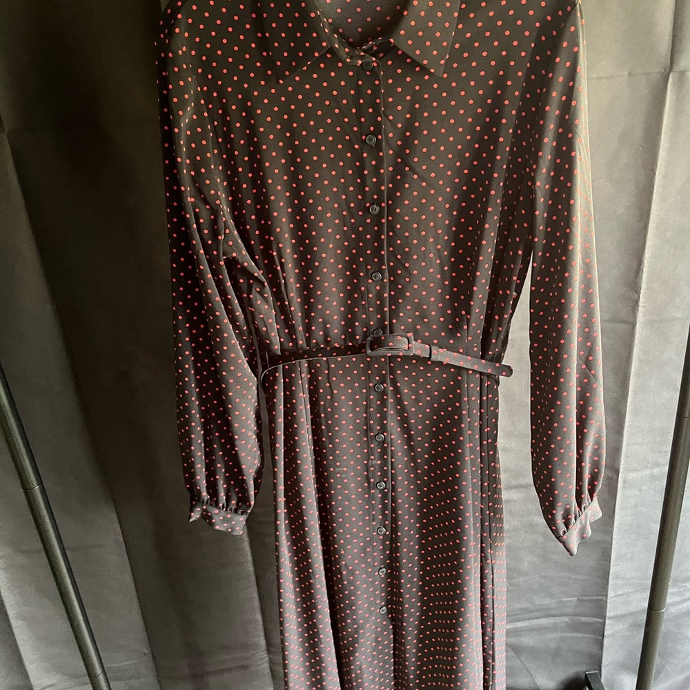 Eva Mendes NY&Co Black Collared Dress with Red Polka Dots
